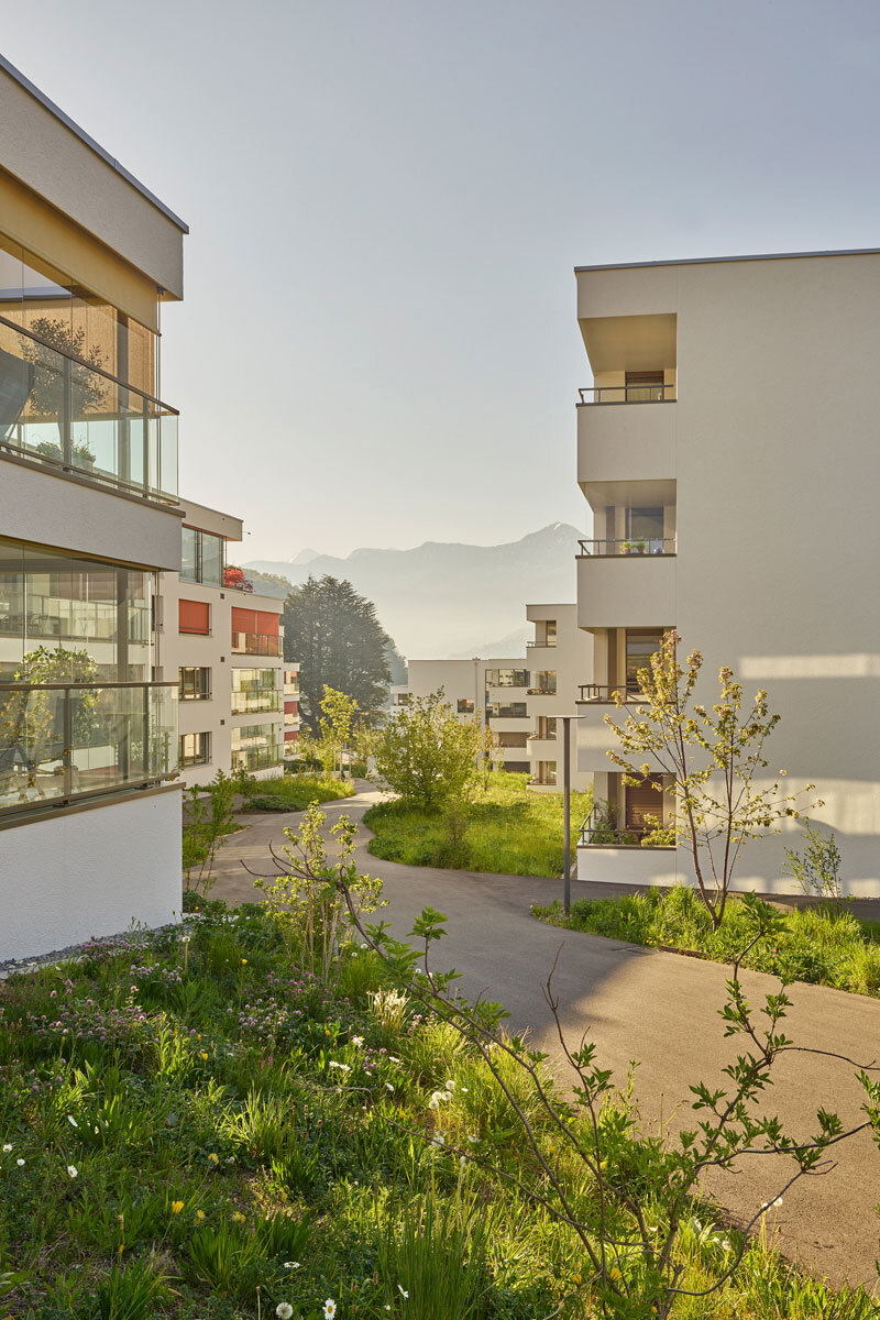 Planung und Neubau MFH